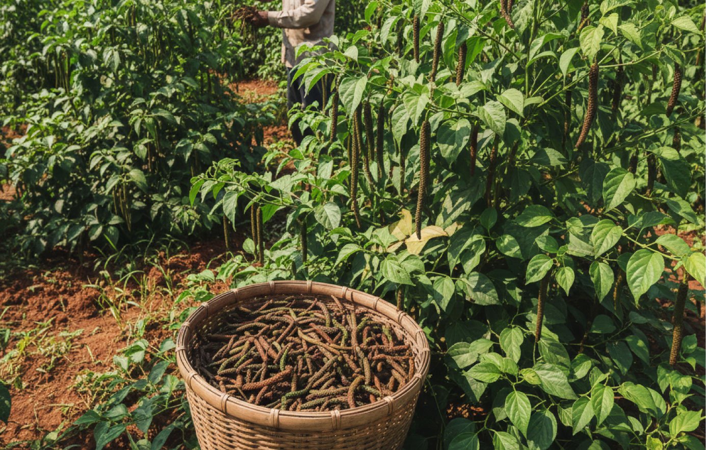 57z6x5czxczjchgzxjcgx7657qw5e7