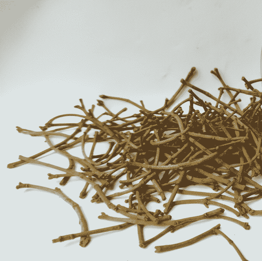 clovestem87876765765656776