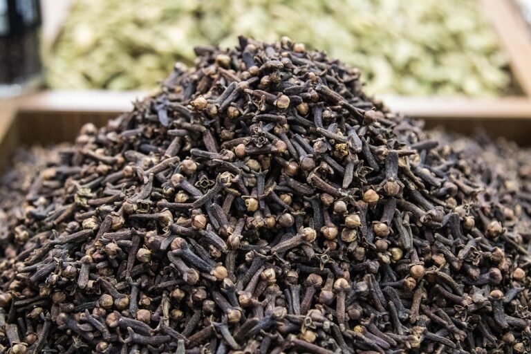 cloves, clove, spice, food, natural, aromatic, ingredient, herb, seasoning, spicy, flavor, condiment, cooking, brown cooking, cloves, cloves, cloves, clove, clove, clove, clove, clove