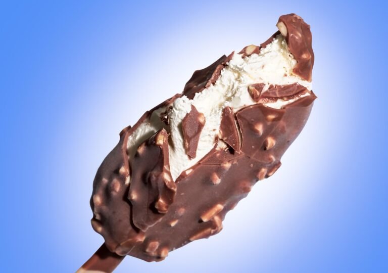 ice cream, chocolate, nature, dessert, frozen, vanilla, ice-cream, snack, cool, summer, cold, sweet, delicious, treat, refreshing, icecream, dairy product, magnum ice cream