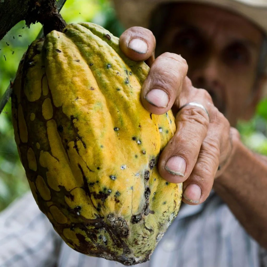 h2f3hgf12h3f1hg2f312f3143l5