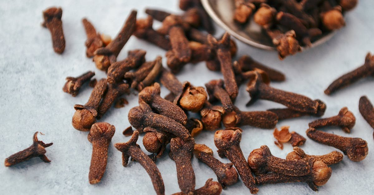 A close-up image of aromatic dry cloves scattered on a spoon over a gray surface.