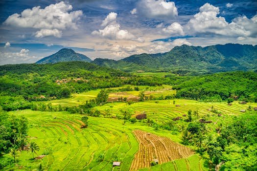 A breathtaking aerial landscape of lush rice fields in Purwakarta with mountains and a vibrant sky.