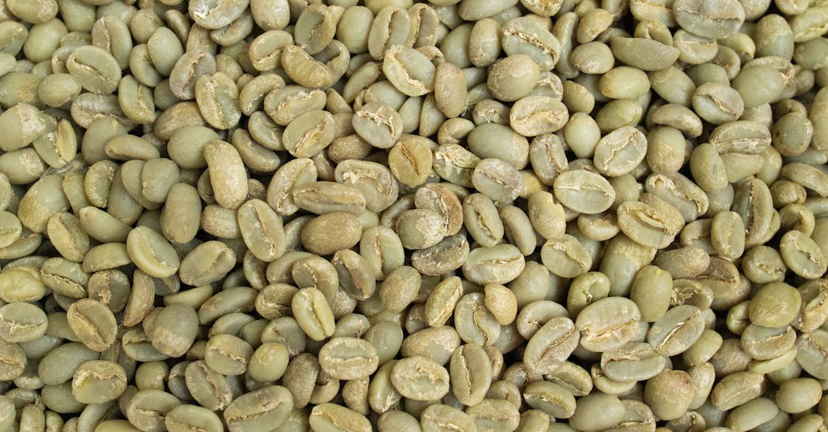Detailed close-up of fresh, raw green coffee beans, ideal for roasting.